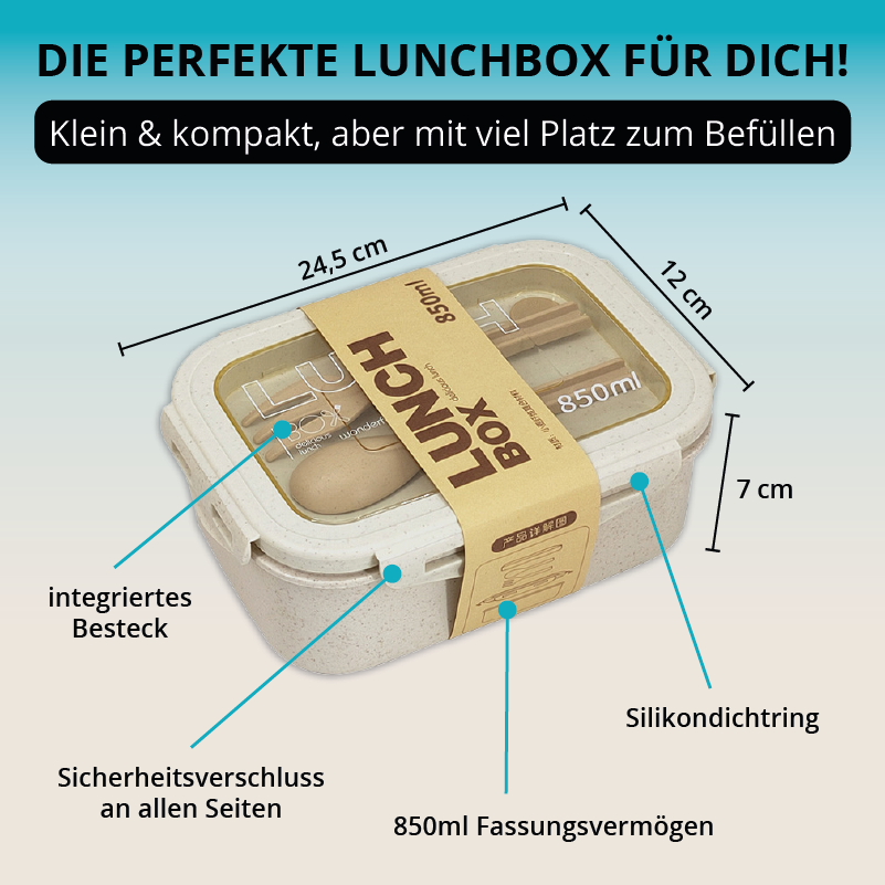 Lunchbox -  perfekt für unterwegs